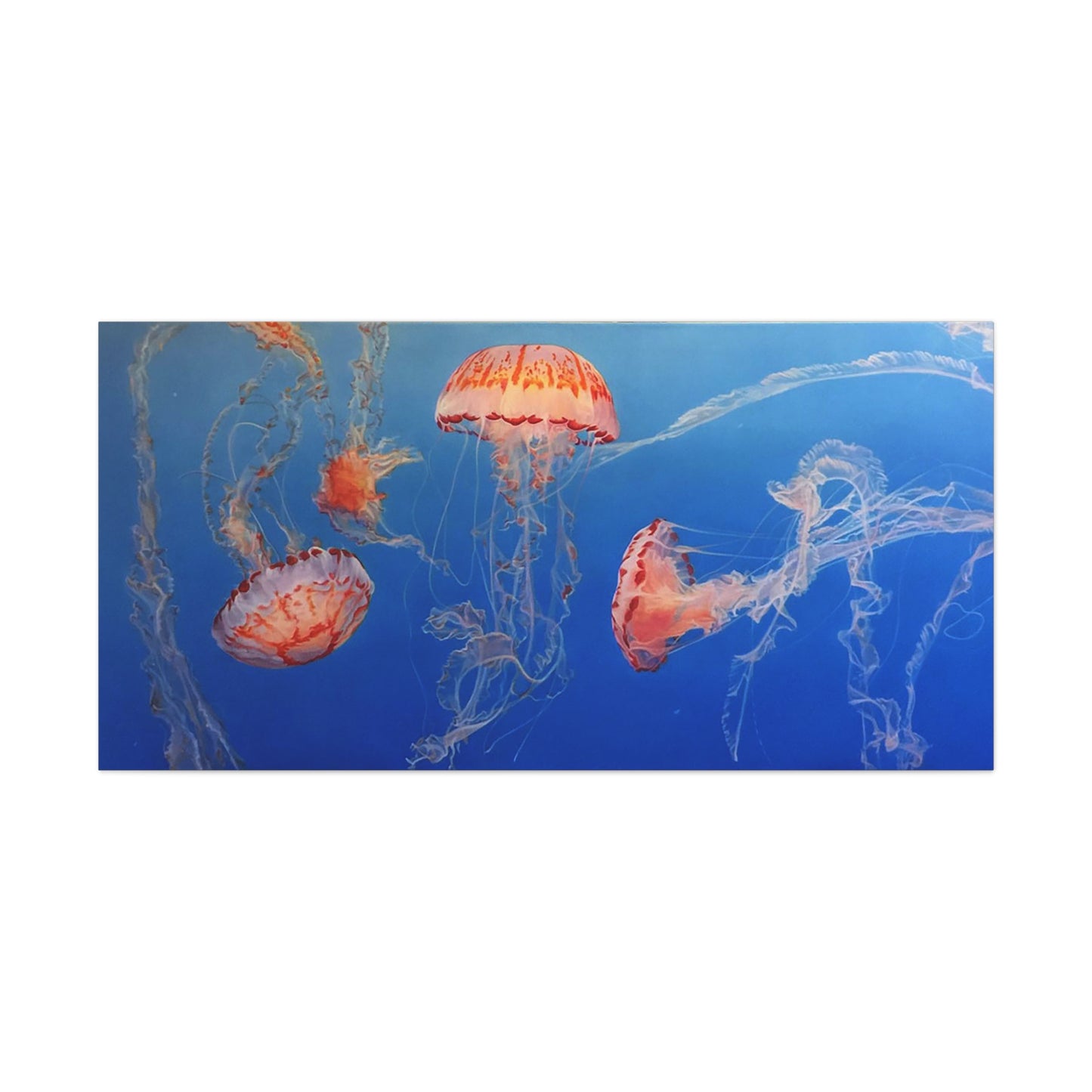 Sea Lanterns - Canvas Print