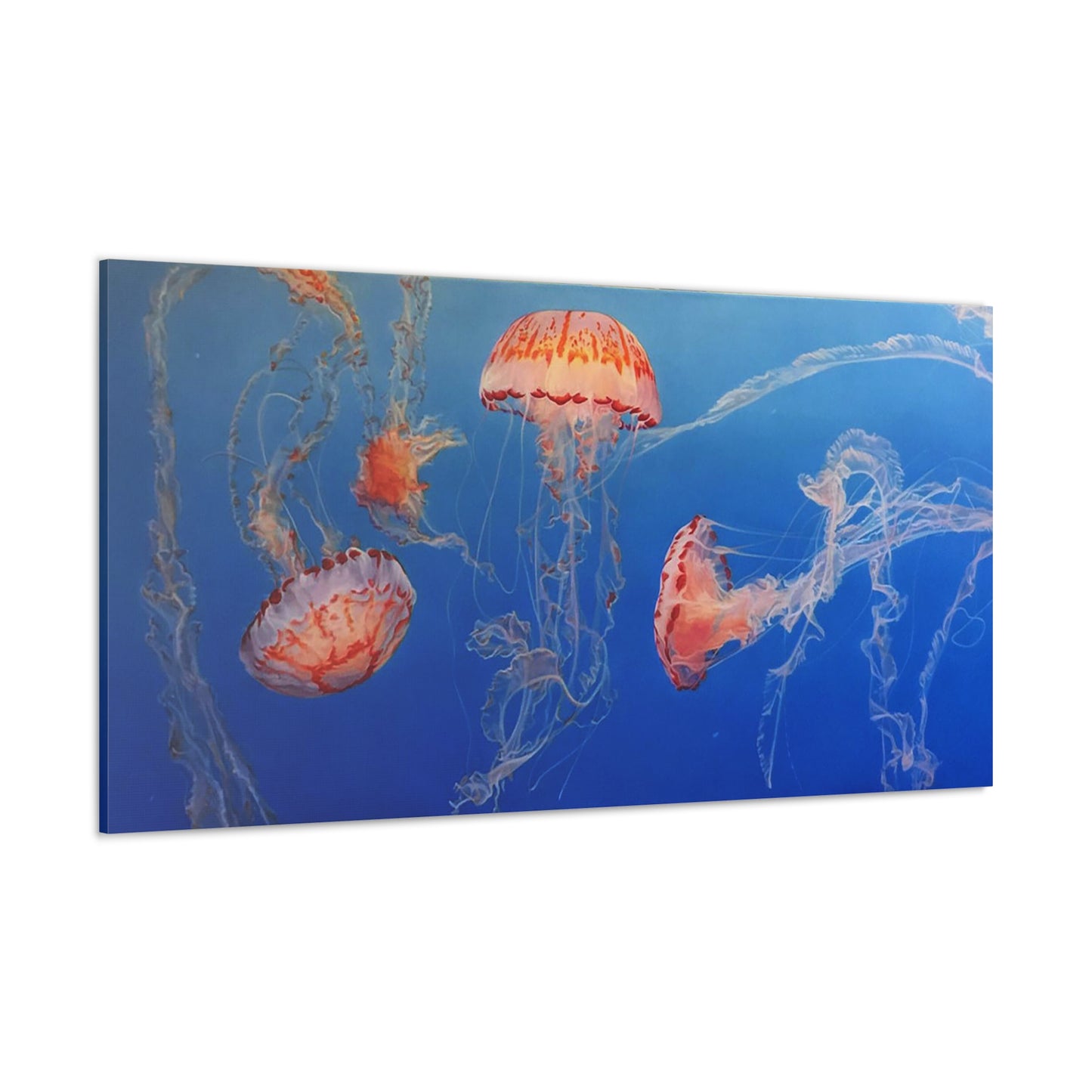 Sea Lanterns - Canvas Print