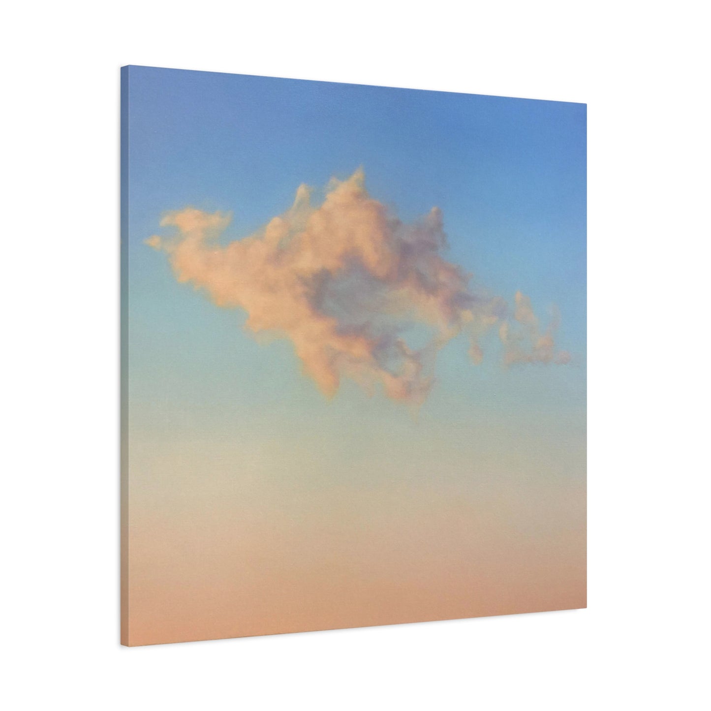 Cream Puff - Canvas Print