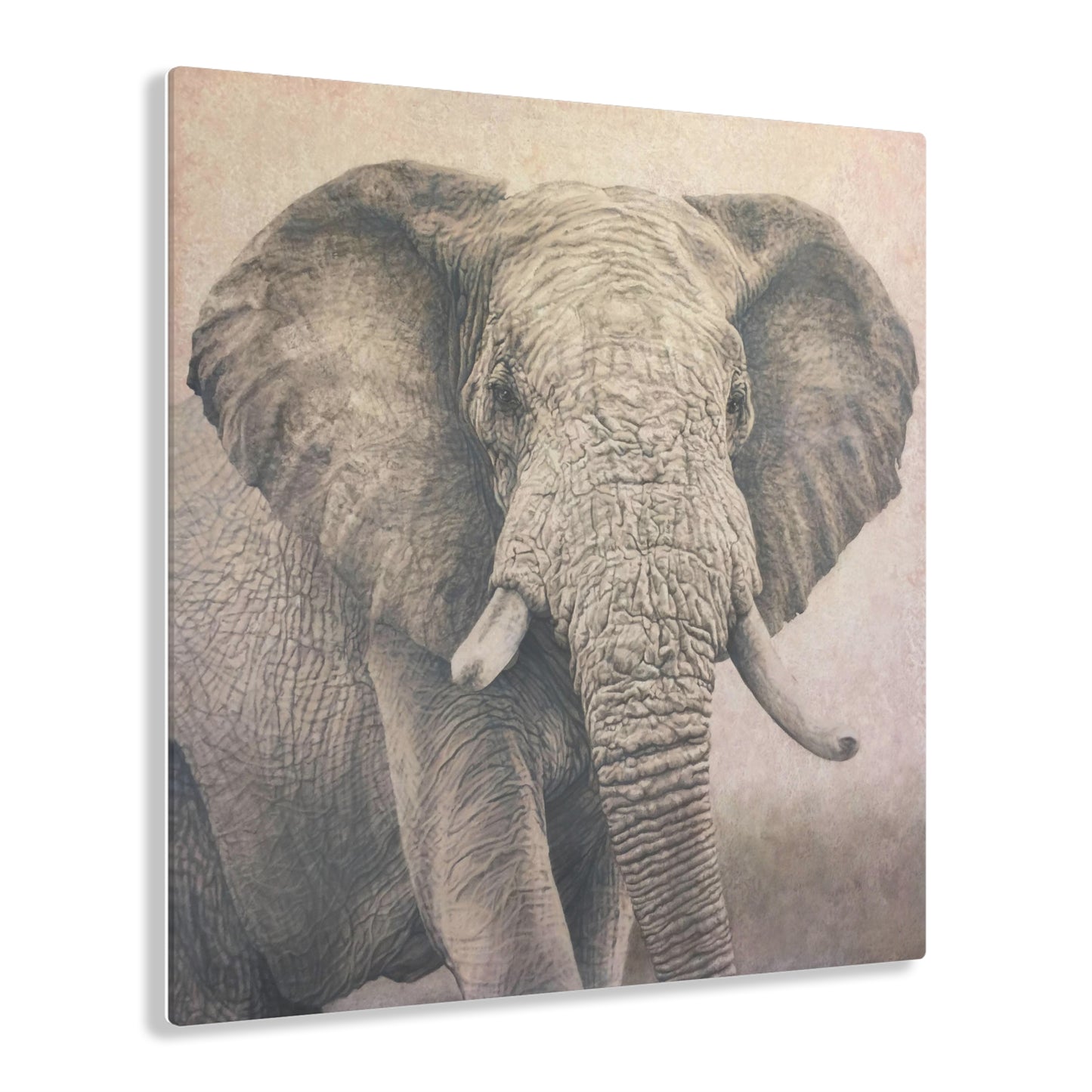 Clay Elephant - Acrylic Print